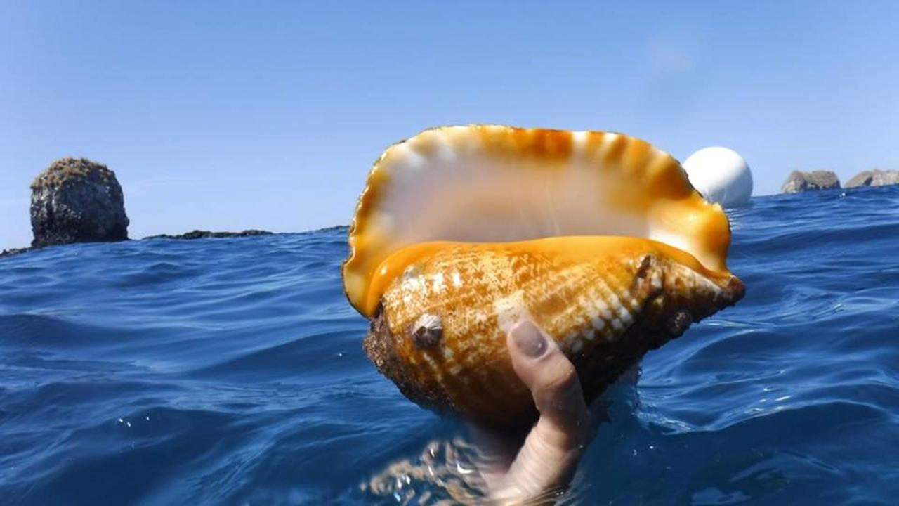 Appartamento Plumita Pacifica Playa Junquillal Esterno foto