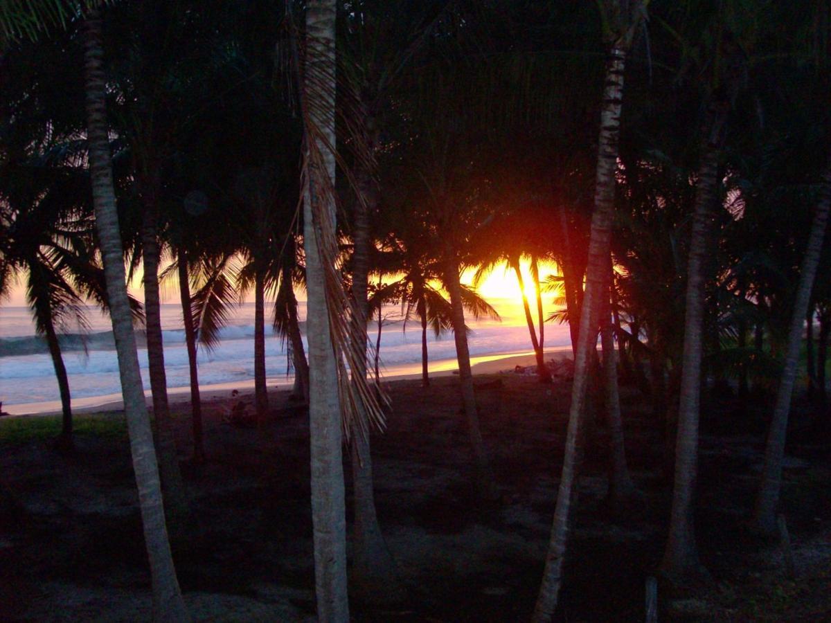 Appartamento Plumita Pacifica Playa Junquillal Esterno foto