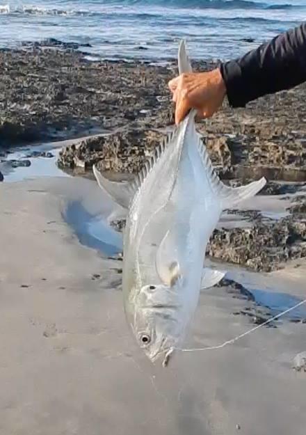 Appartamento Plumita Pacifica Playa Junquillal Esterno foto