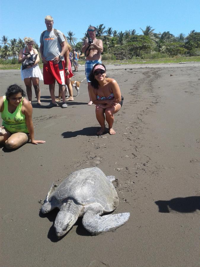 Appartamento Plumita Pacifica Playa Junquillal Esterno foto