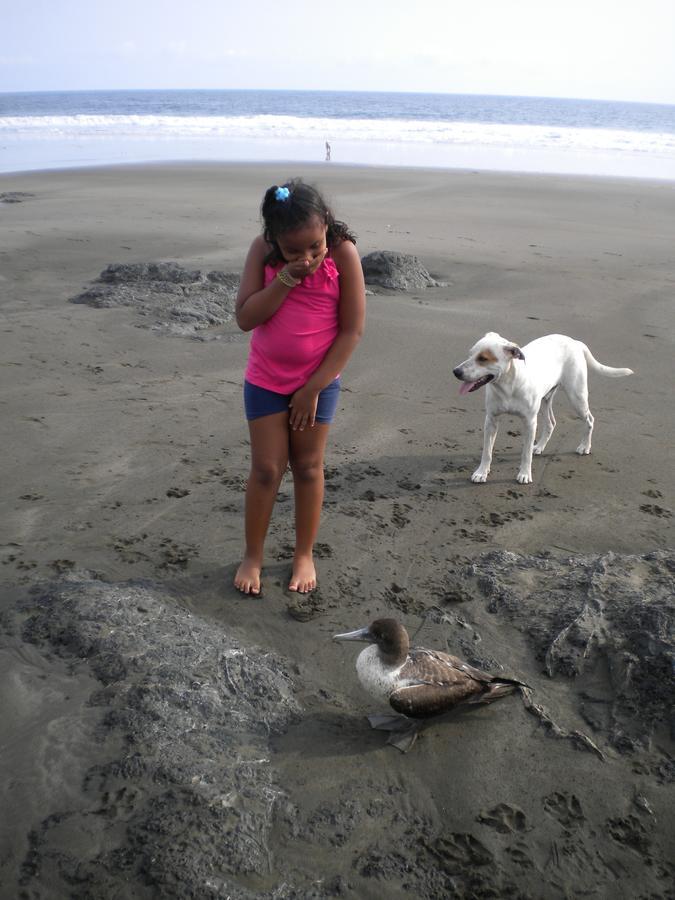 Appartamento Plumita Pacifica Playa Junquillal Esterno foto