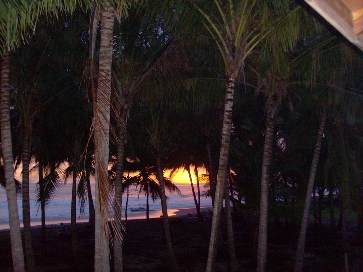 Appartamento Plumita Pacifica Playa Junquillal Esterno foto