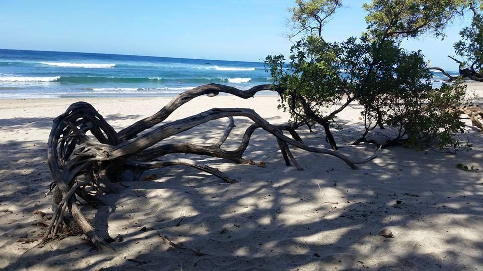 Appartamento Plumita Pacifica Playa Junquillal Esterno foto